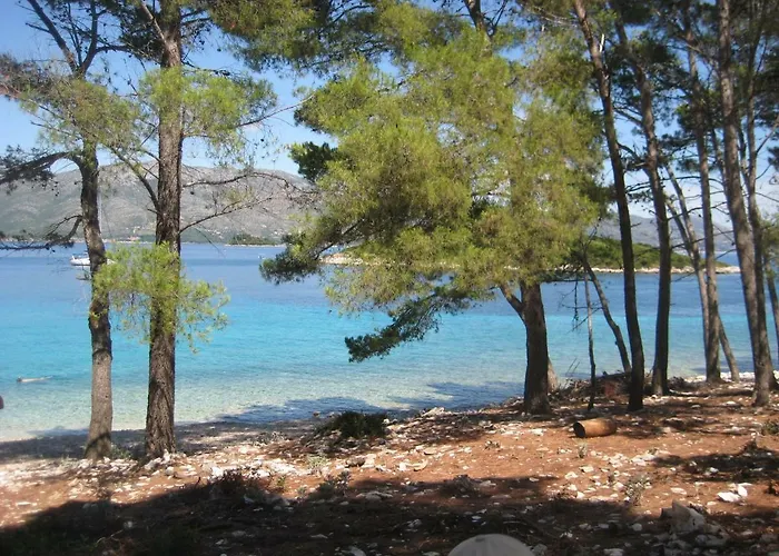 公寓 Apartment Korcula Town *